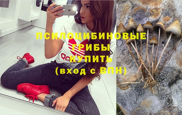 дурь Зеленодольск