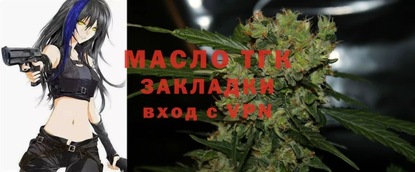 твердый Заводоуковск