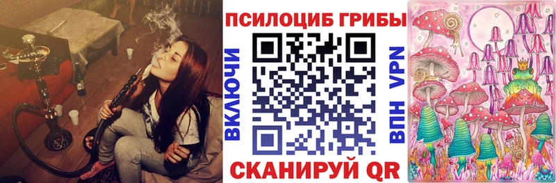 мега как войти  Новочебоксарск  darknet официальный сайт  где продают   Галлюциногенные грибы Magic Shrooms 