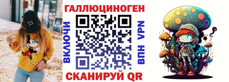 Псилоцибиновые грибы Cubensis Новочебоксарск